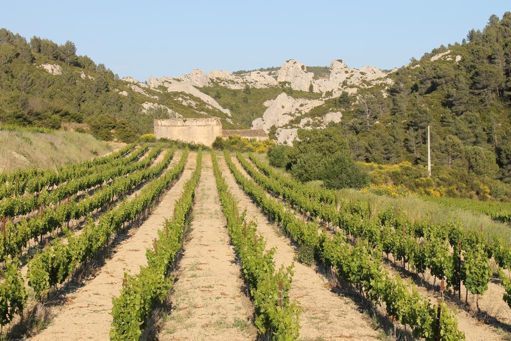 Thezan-des-Corbieres La Montaguteヴィラ エクステリア 写真