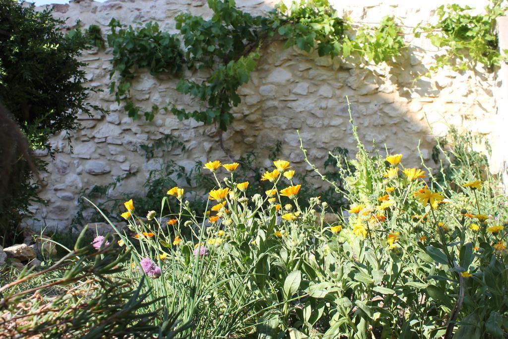 Thezan-des-Corbieres La Montaguteヴィラ エクステリア 写真